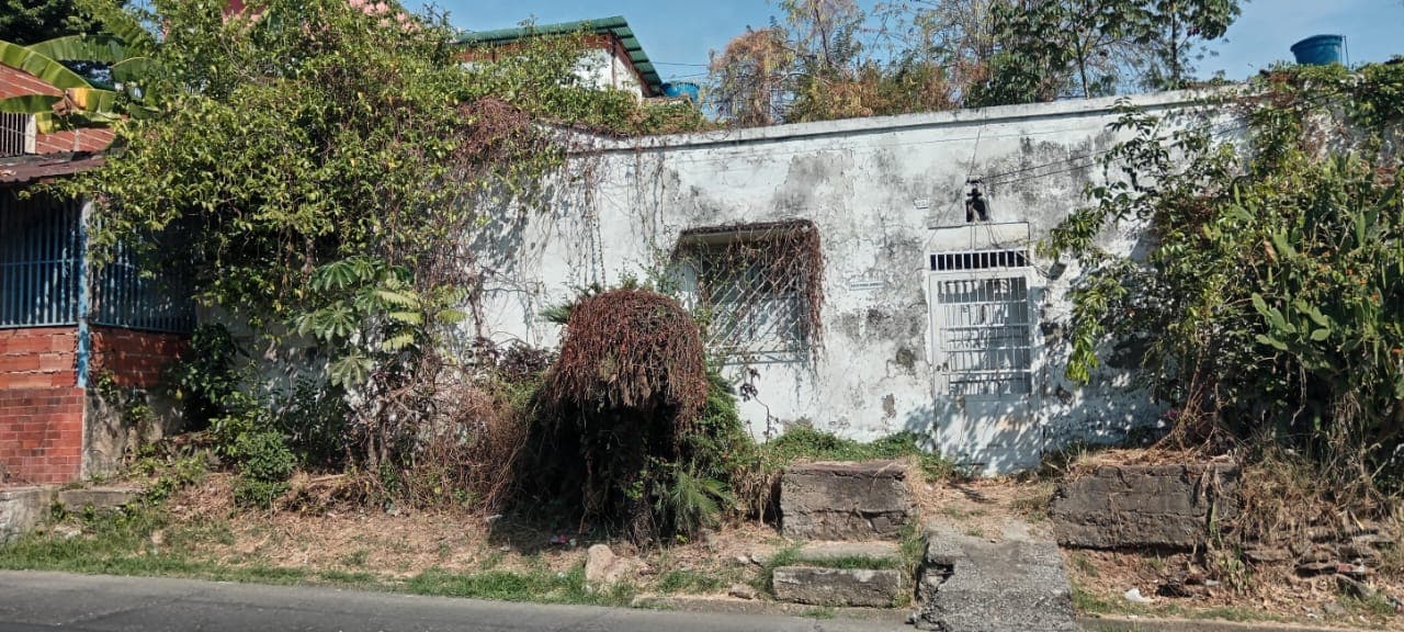 Front of the house before restoration
